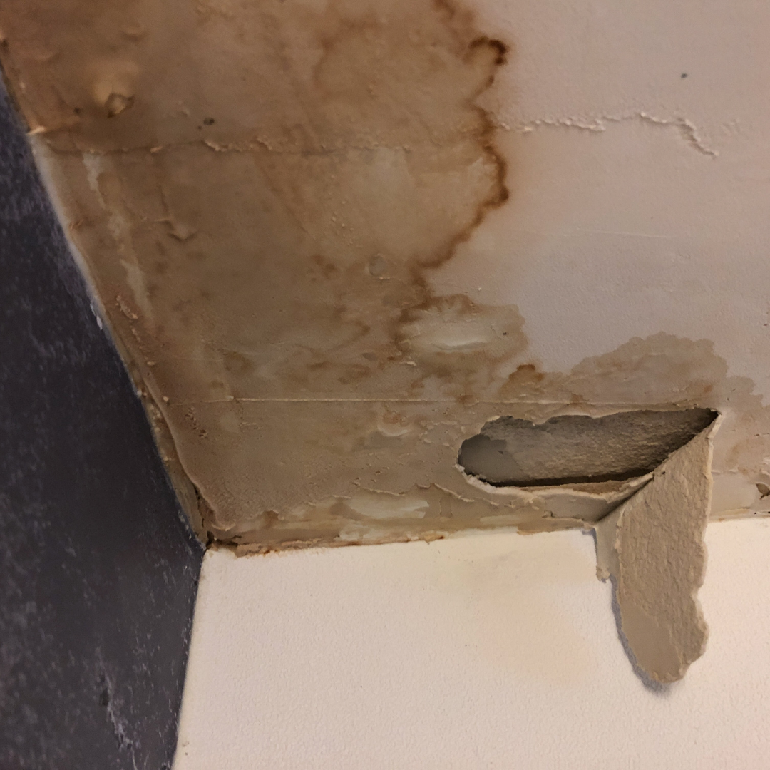 Ceiling with water damage