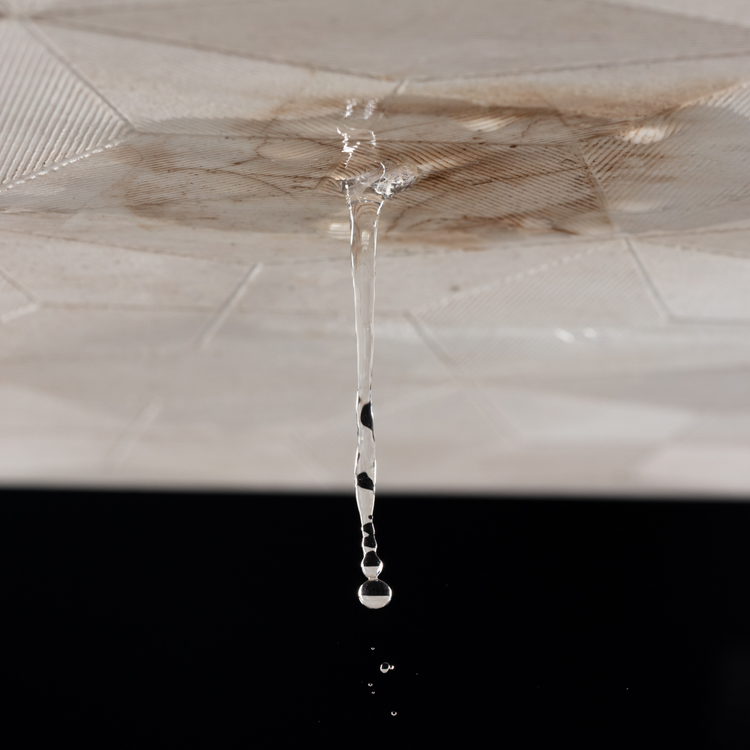 Leaky roof water dripping from ceiling