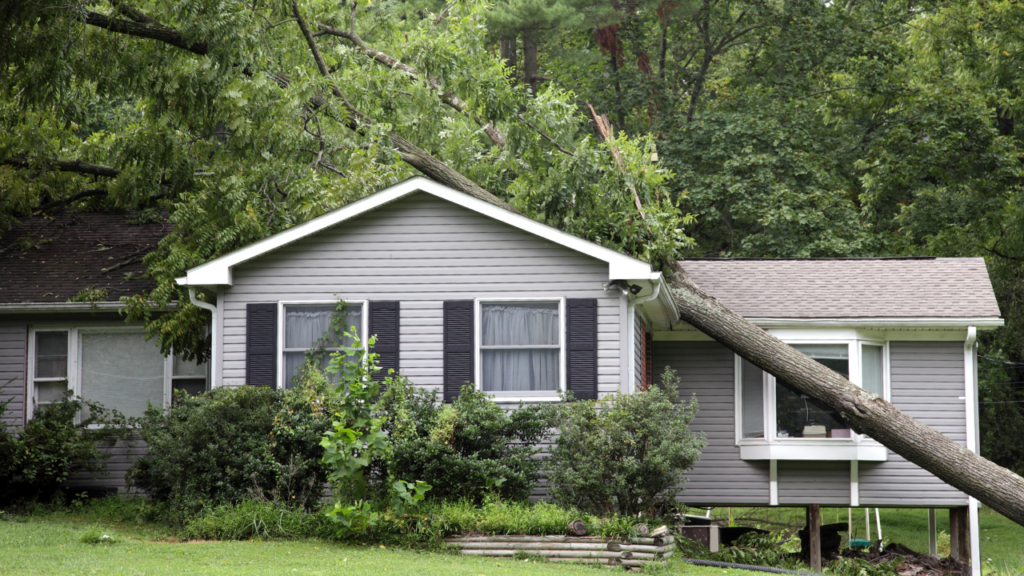 House with damaged roof from fallen tree after storm